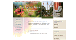 Desktop Screenshot of ci.blooming-grove.tx.us